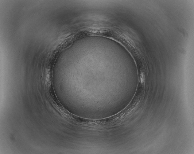 X0000115171396200911121729