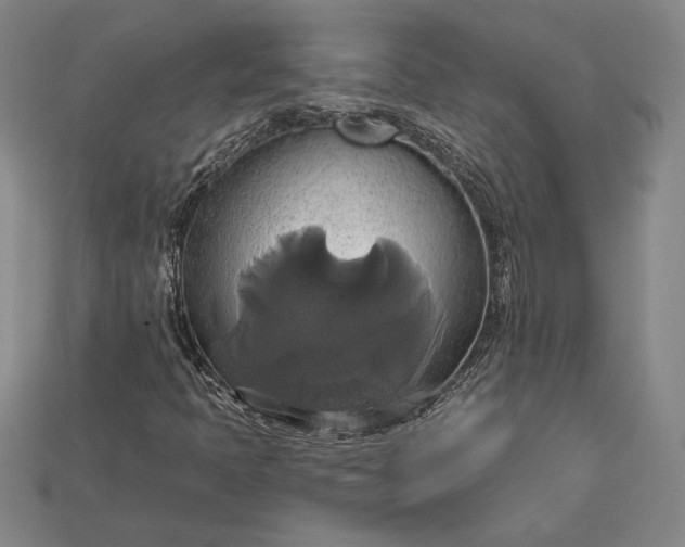 X0000115171397200911121729