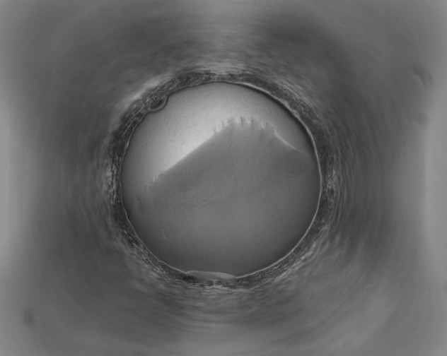 X0000115171398200911121729