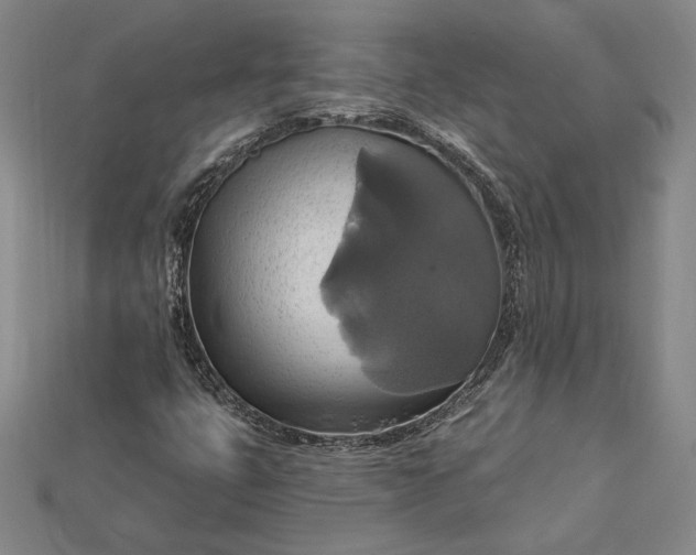 X0000115171399200911121729