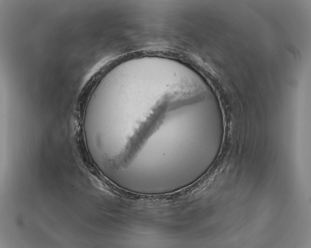 X0000115171400200911121729