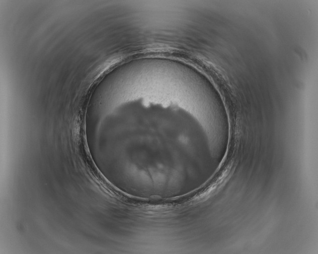 X0000115171401200911121729