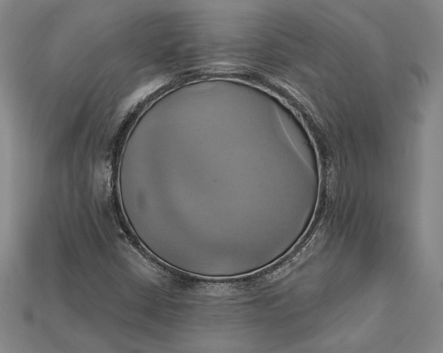 X0000115171402200911121729