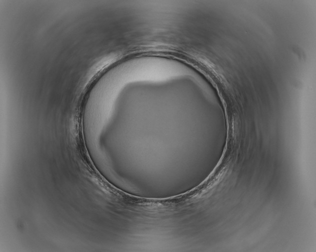 X0000115171405200911121729