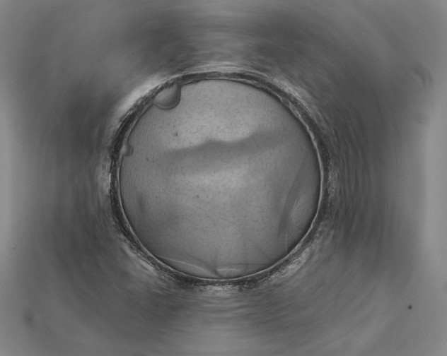 X0000115171406200911121729