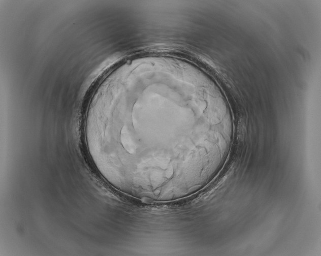 X0000115171410200911121729