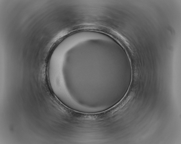 X0000115171411200911121729