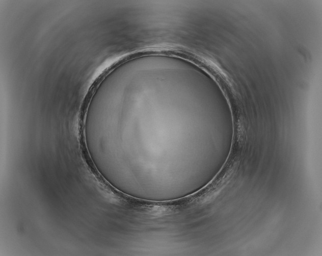 X0000115171412200911121729
