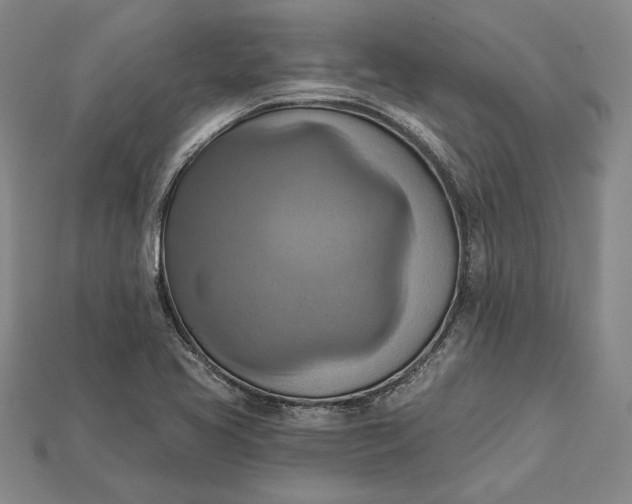 X0000115171413200911121729