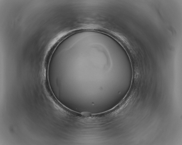 X0000115171414200911121729