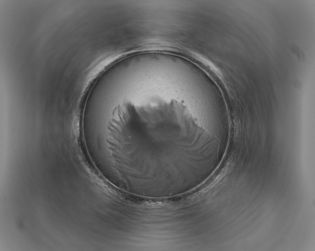 X0000115171415200911121729