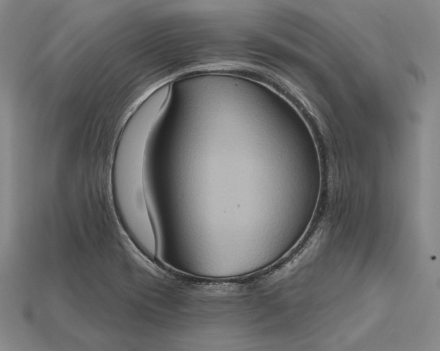 X0000115171417200911121729