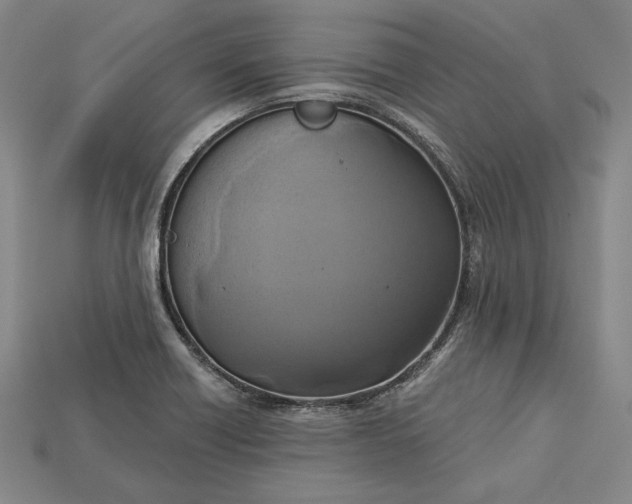 X0000115171418200911121729