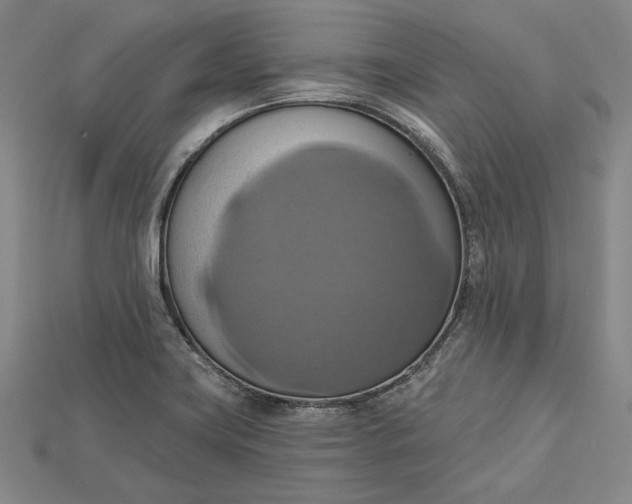 X0000115171419200911121729