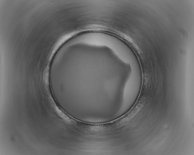 X0000115171421200911121730