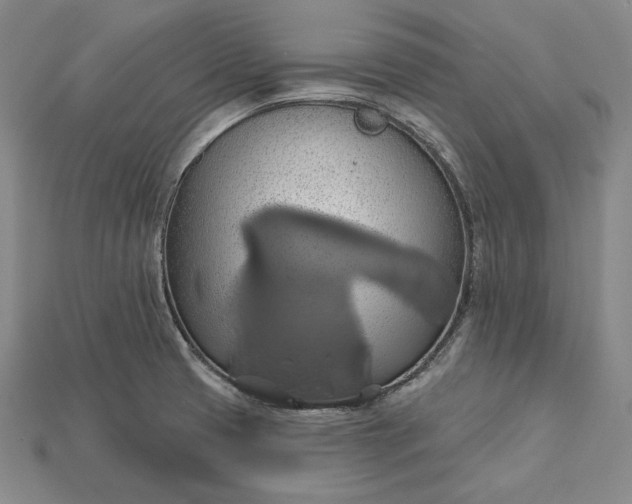 X0000115171425200911121730