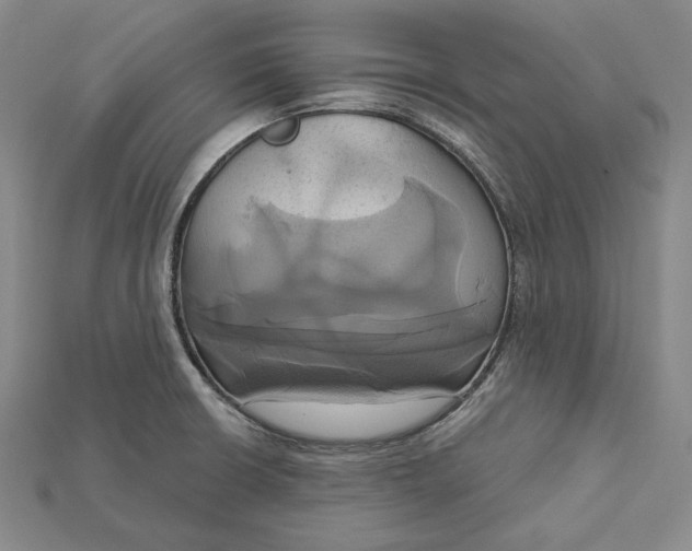X0000115171426200911121730