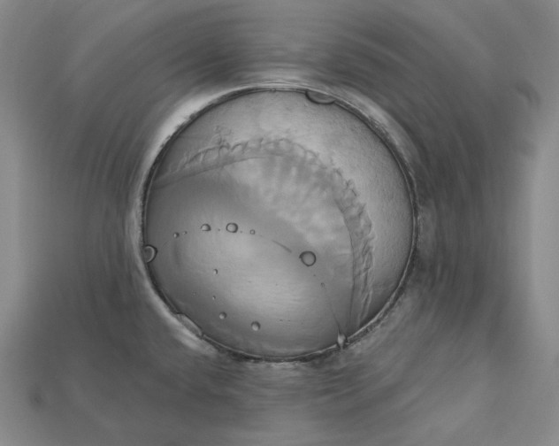 X0000115171432200911121730