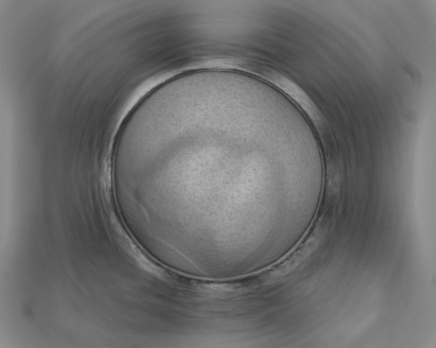 X0000115171436200911121730
