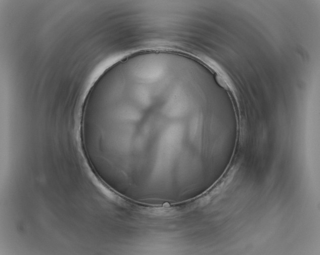 X0000115171437200911121730