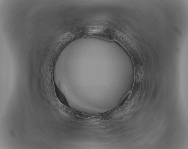 X0000115171441200911121729