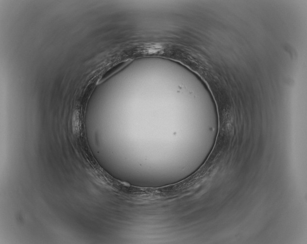 X0000115171442200911121729