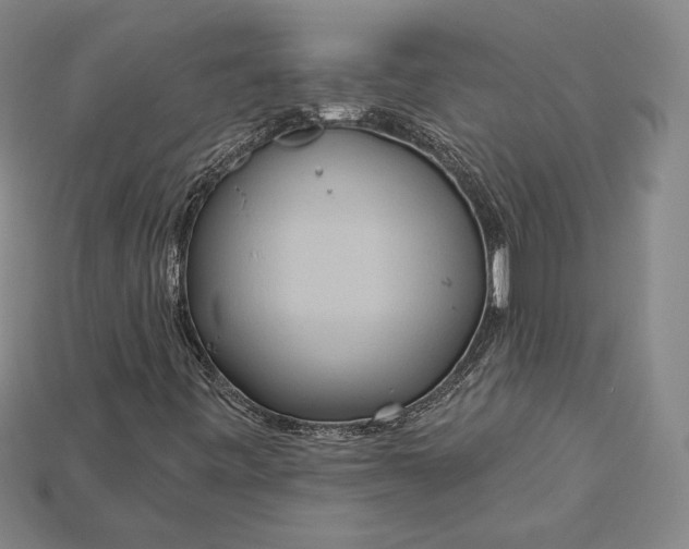 X0000115171443200911121729