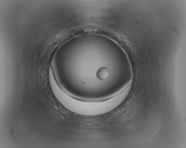 X0000115171445200911121729