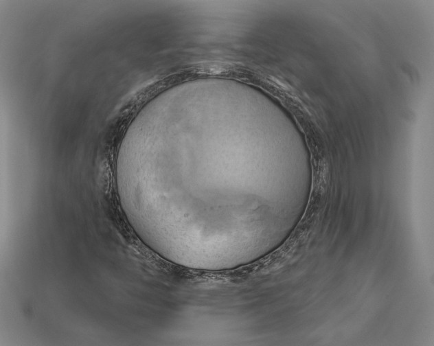 X0000115171446200911121729