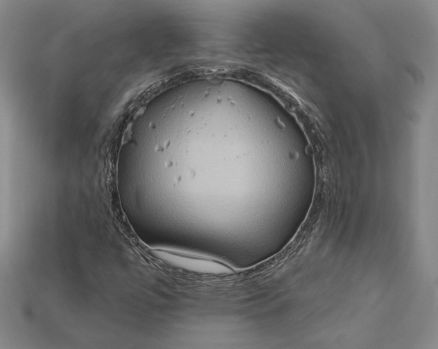 X0000115171447200911121729