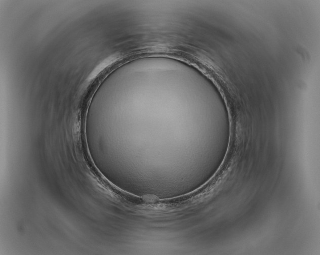 X0000115171450200911121729