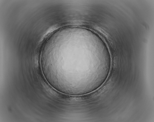 X0000115171451200911121729