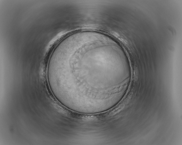 X0000115171454200911121729