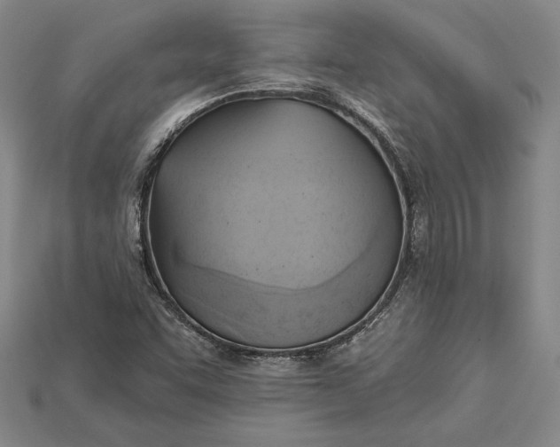 X0000115171455200911121729