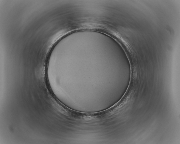 X0000115171459200911121729