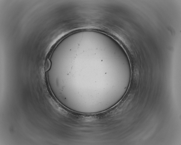 X0000115171460200911121729