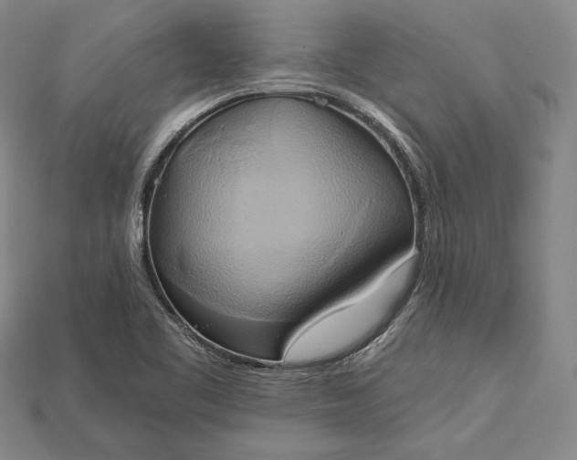 X0000115171461200911121729