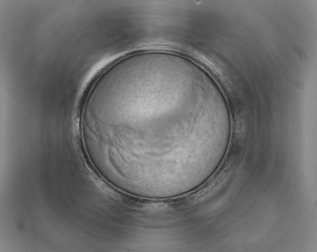 X0000115171462200911121729