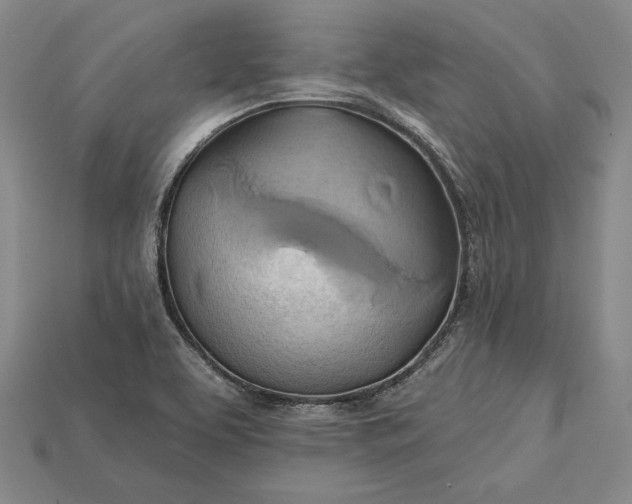 X0000115171463200911121729