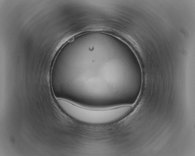 X0000115171465200911121729