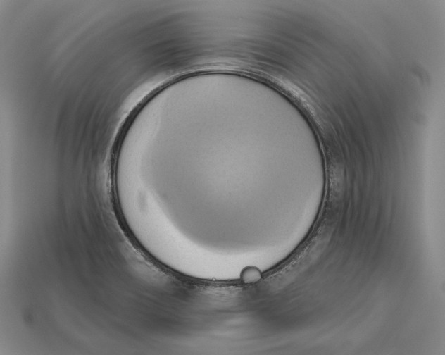 X0000115171466200911121729