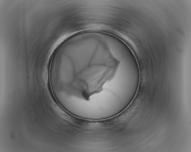 X0000115171467200911121729