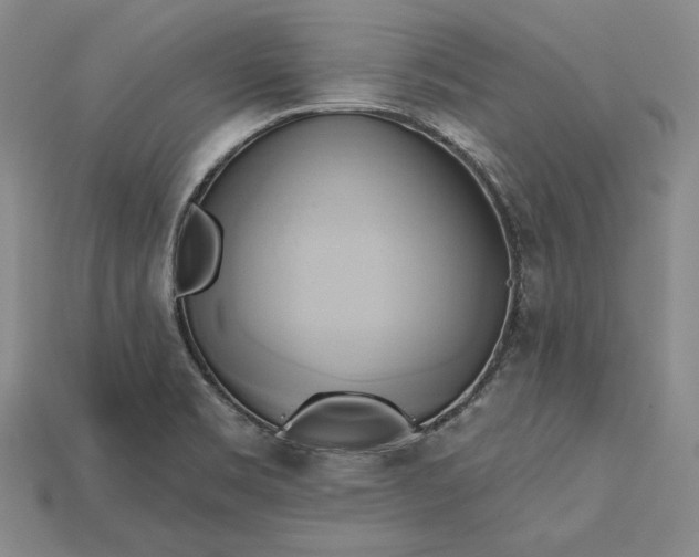 X0000115171469200911121729