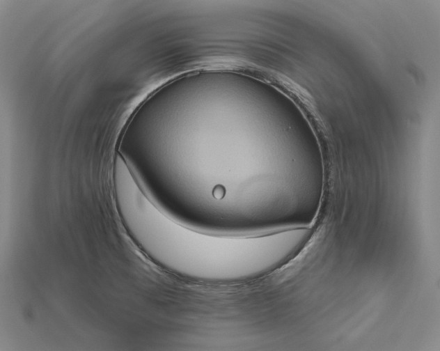 X0000115171473200911121729