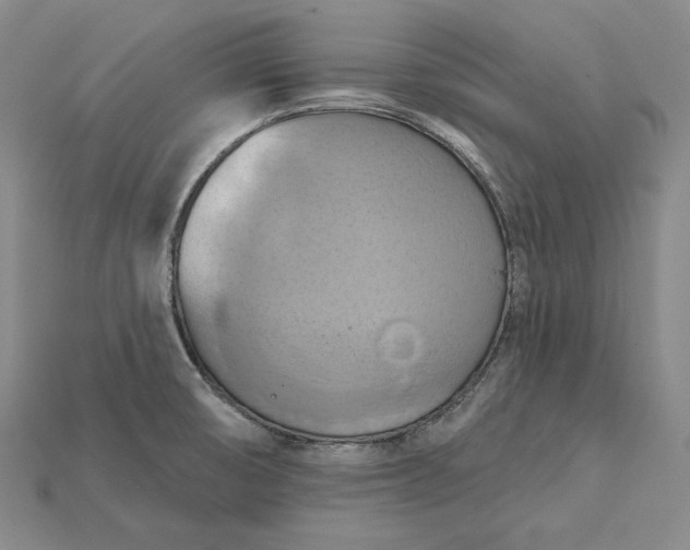 X0000115171474200911121729