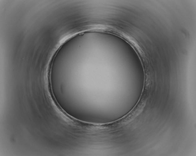 X0000115171475200911121729