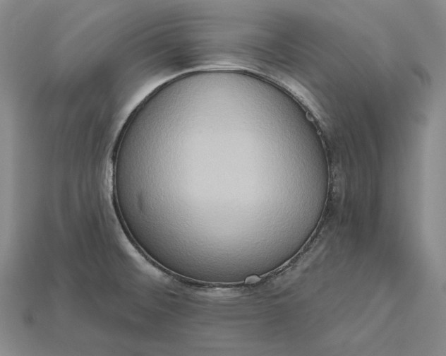 X0000115171476200911121729