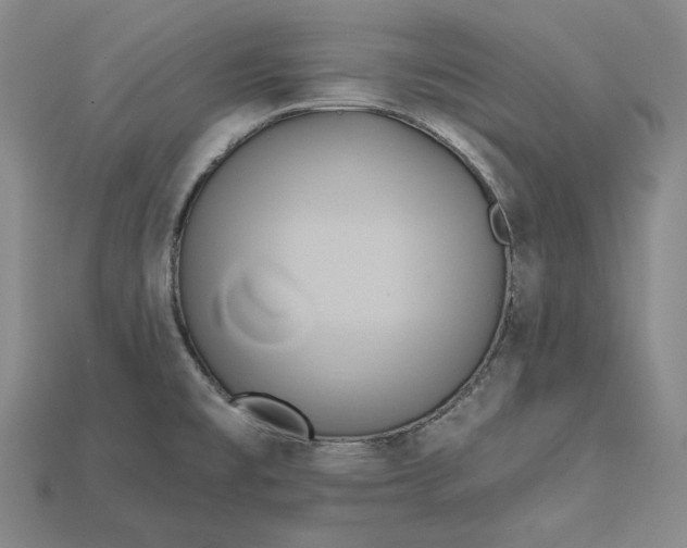 X0000115171477200911121729