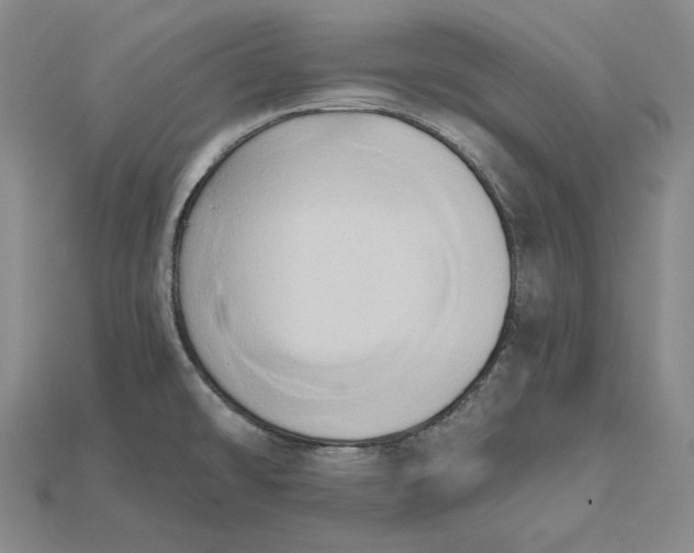 X0000115171478200911121729