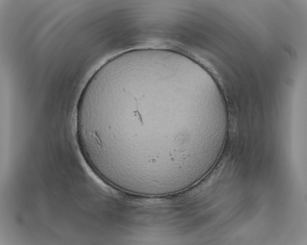 X0000115171479200911121729